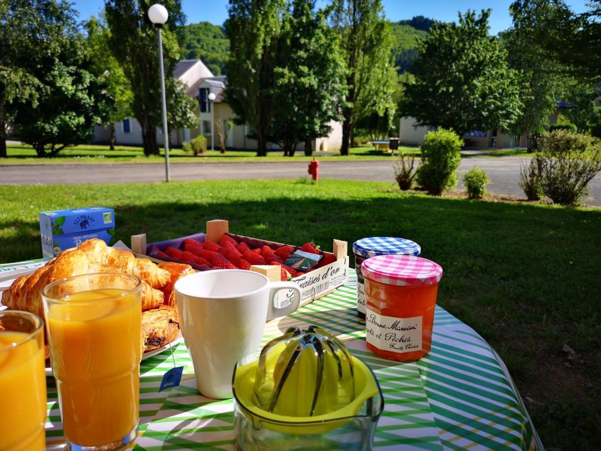 La Maison Bleue, Village Vacances, Piscine, Parking Saint-Geniez-dʼOlt Exteriér fotografie