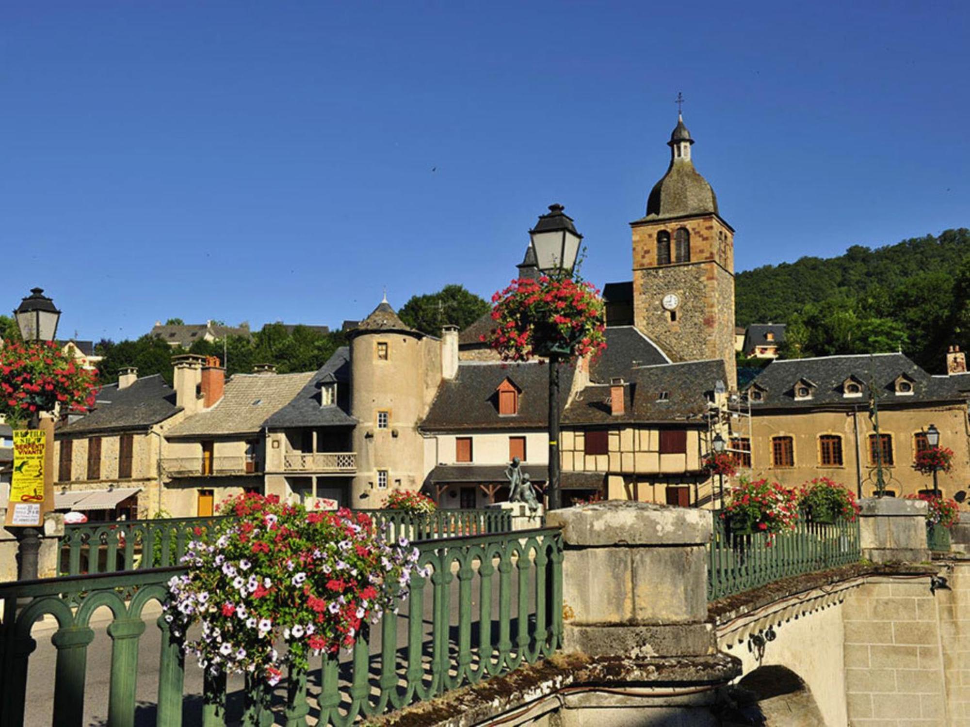 La Maison Bleue, Village Vacances, Piscine, Parking Saint-Geniez-dʼOlt Exteriér fotografie