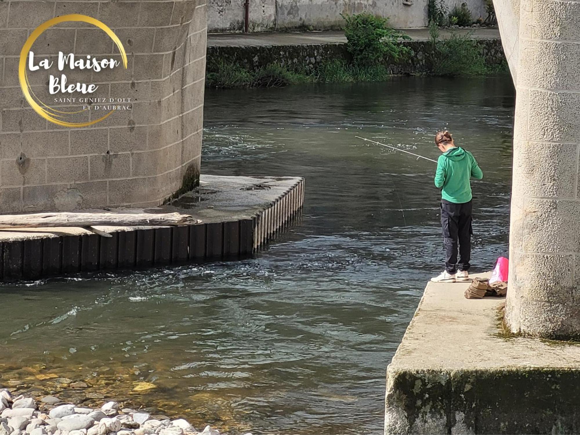 La Maison Bleue, Village Vacances, Piscine, Parking Saint-Geniez-dʼOlt Exteriér fotografie